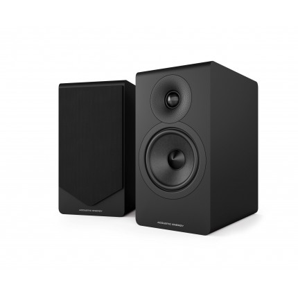 ACOUSTIC ENERGY AE300² RIIULIKÕLAR