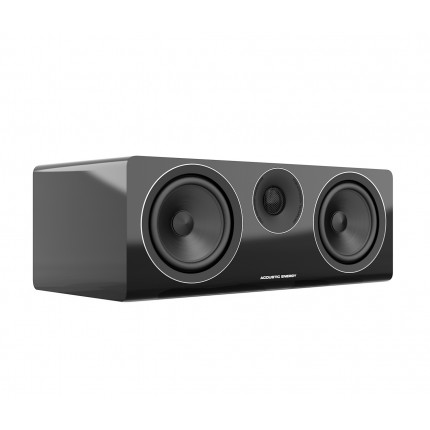 ACOUSTIC ENERGY AE307 KESKKÕLAR
