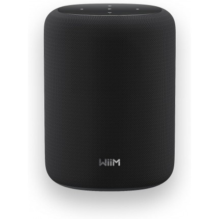 WIIM SOUND LITE Bluetooth & WiFi kõlar